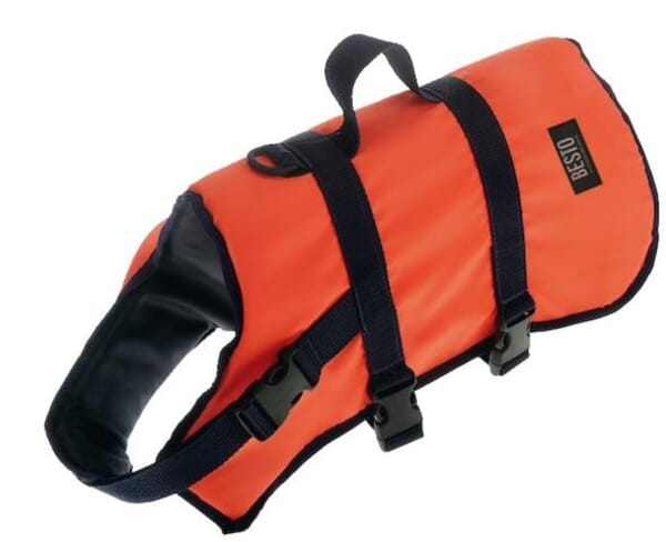 Buoyancy Aid Dog