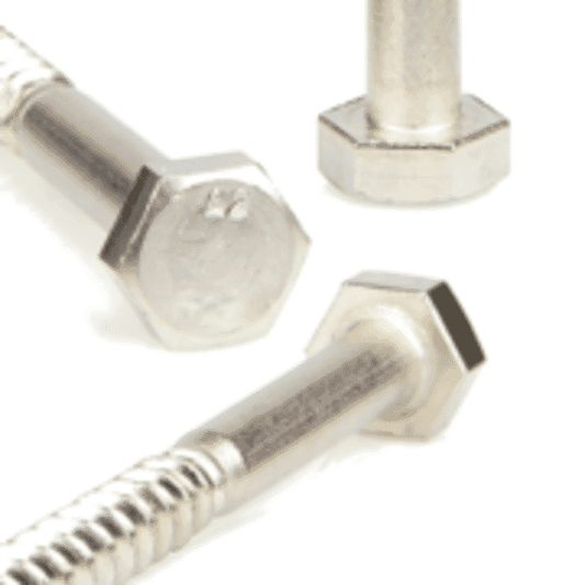 Stainless Steel Coach Screw