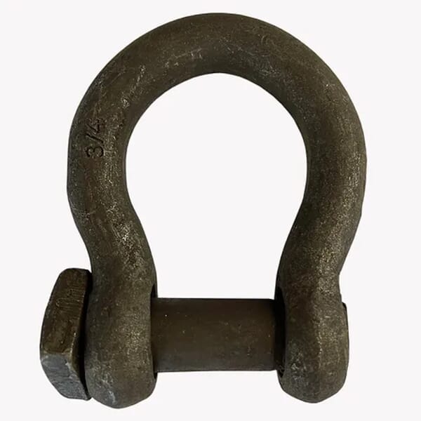 Shackle Black Bow